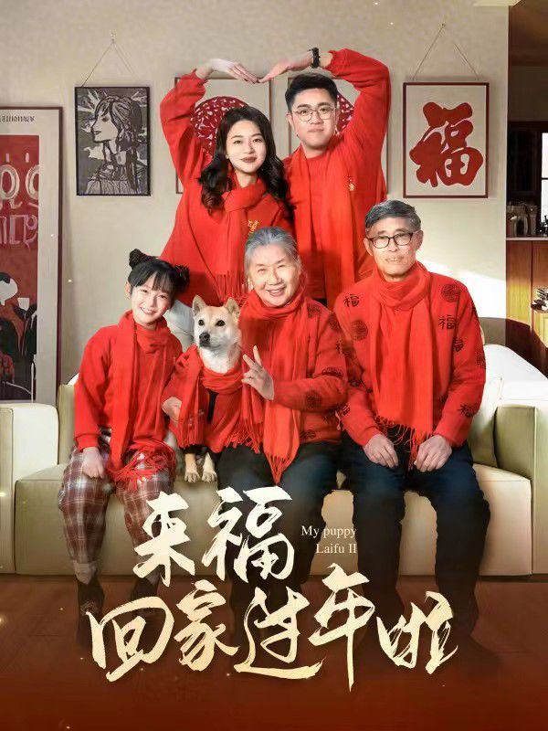 來?；丶疫^年啦(全集)