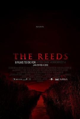 蘆葦?shù)? class=