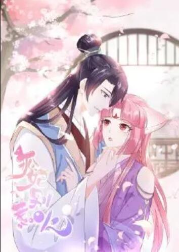 狐妃，別惹火