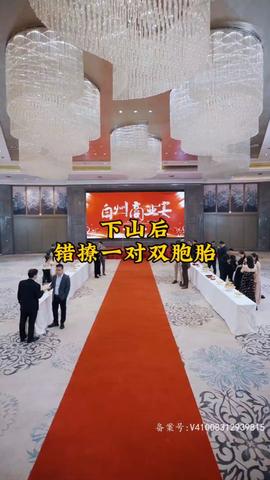 下山后，錯(cuò)撩一對雙胞胎(全集)