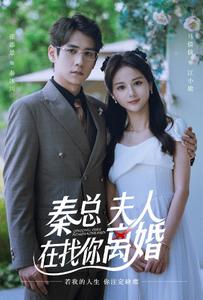 秦總，夫人在找你離婚(全集)