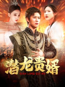 潛龍貴婿(全集)