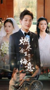 燃盡余生換你一世悔意(全集)