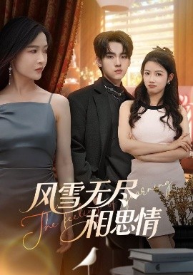 風(fēng)雪無(wú)盡相思情(全集)
