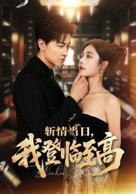 斬情當(dāng)日，我登臨至高(全集)