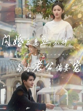 閃婚孕妻逃不掉，高冷老公偏要寵(全集)