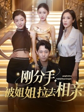 剛分手，被姐姐拉去相親(全集)