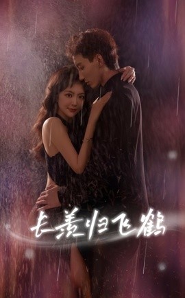 長(zhǎng)羨歸飛鶴(全集)