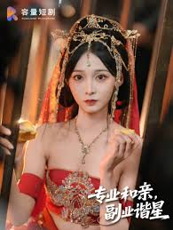 專業(yè)和親，副業(yè)諧星(全集)