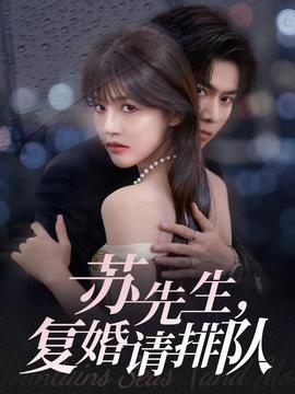 蘇先生，復(fù)婚請排隊(全集)