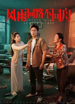 風雨同路不同舟(全集)