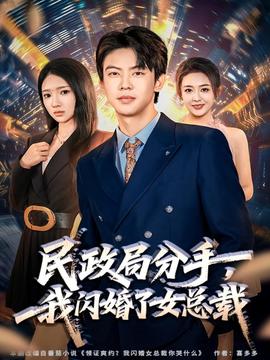 民政局分手，我閃婚了女總裁(全集)