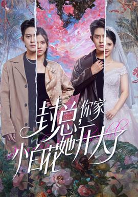 封總，你家小白花她開大了(全集)