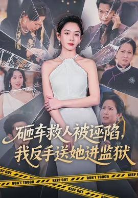 砸車救人被誣陷，我反手送她進監(jiān)獄(全集)