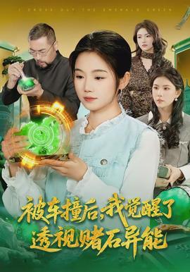 被車撞后，我覺醒了透視賭石異能了(全集)