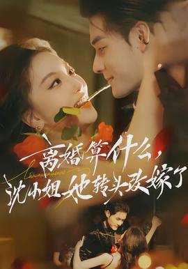 離婚算什么，沈小姐她轉頭改嫁了(全集)