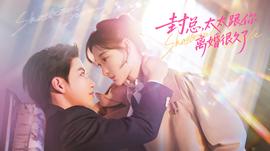 封總，太太跟你離婚很久了(全集)