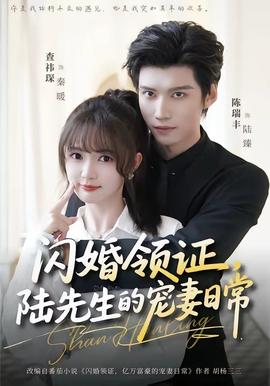 閃婚領(lǐng)證，陸先生的寵妻日常(全集)