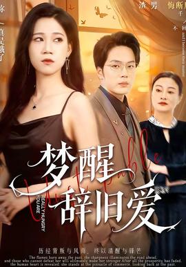 夢(mèng)醒辭舊愛(全集)