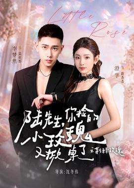陸先生，你撿的小玫瑰又掀桌了之荊棘玫瑰(全集)